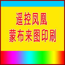 Remote control phoenix cloth thermal transfer mask printing powered flight accessories exhibition display supplies luminous kite cloth