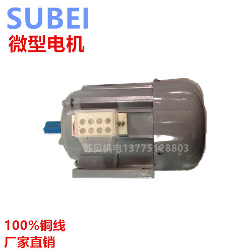 Micro motor 120W 180W motor 220V 380V single-phase three-phase motor copper wire
