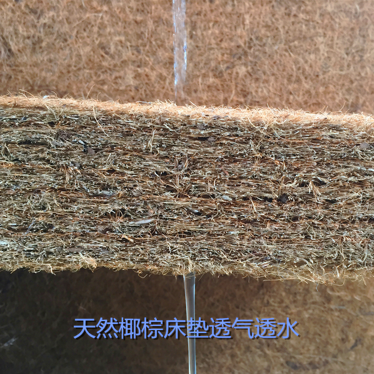 Học sinh có xu hướng cứng nệm 1.2m quý mùa hè đơn 0,9-1,5 Mega nệm dày bao phủ với giường tầng tatami - Nệm nệm cao su non giá rẻ