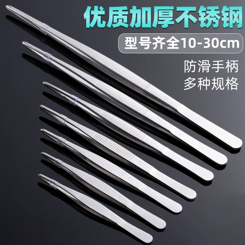 Расширение бабушки, сочная, кормила рыба, трава и карп, толстый клип -инструмент, черепахи кормит из нержавеющей стали большую щепотку