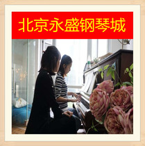 Piano Guitar Ukulele Guzheng Teaching and Training Improvisation One-to-One Piano Teaching