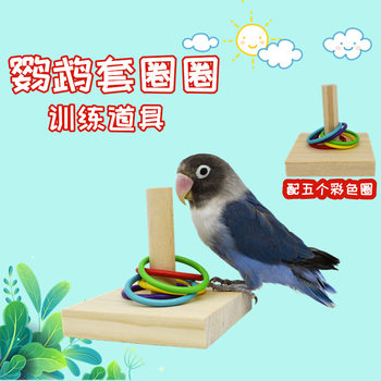 Parrot ring toy bird supplies intellectual development