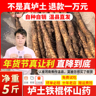 Iron rod yam Huaiyuan Jiaozuo soil in Wenxian County, Henan Province