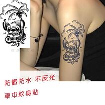 Cute cartoon stare herb tattoo stickers waterproof oldshcool male and female plants herb long lasting
