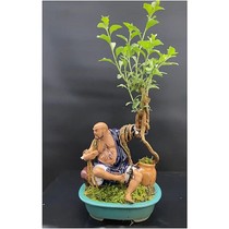 Chinese style Chinese martial arts figures ceramic ornaments retro home bonsai potted rockery landscape decorations