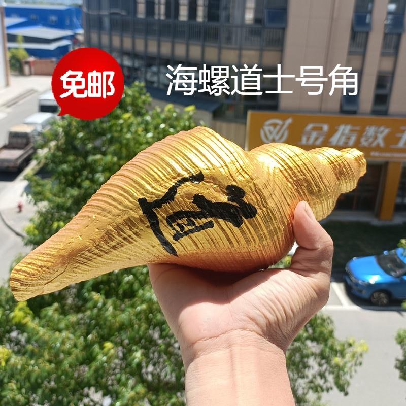 Natural super conch shell long incense nut screw gold-plated Taoist horn collection gift ornament screw number