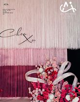 Xiaohongshus same style 2024 encrypted wedding wedding thread curtain tassel background stage scene layout ceiling partition