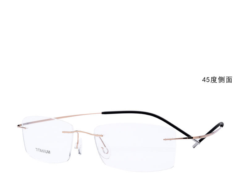 Montures de lunettes en Alliage de titane - Ref 3139754 Image 29