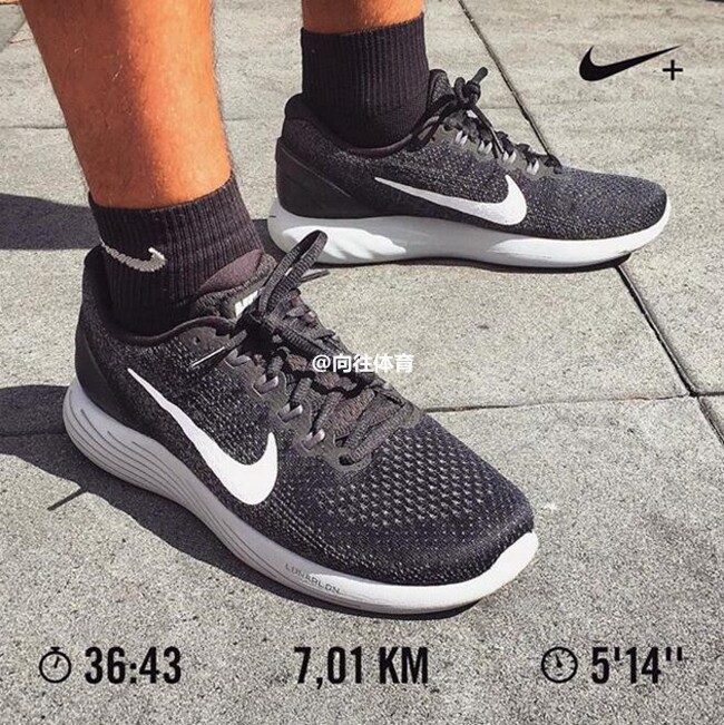 nike lunarglide 43