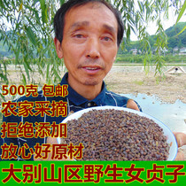 (Dabie Mountains) Wild Ligustrum tea Man Chinese herbal medicine Ligustrum seed 500g non-Tongrentang