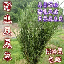 (Dabie Mountain) Wild Fanchovy Chicken Foot Grass Five Finger Grass New Dry 500 Grams