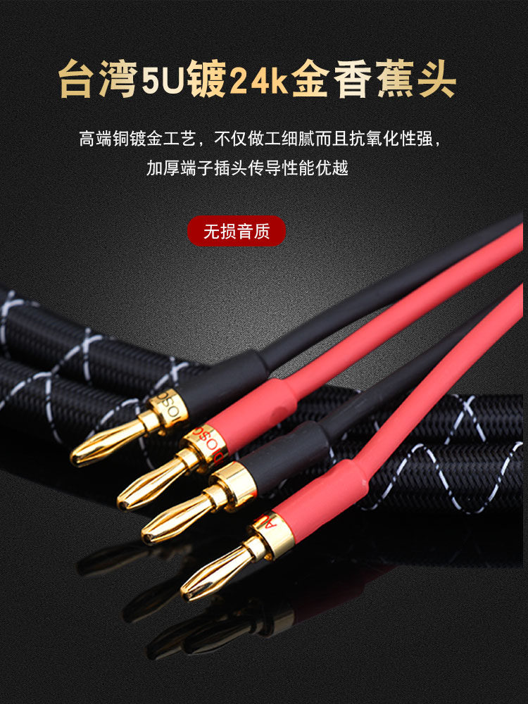 High-End Speaker Cable, Pure Copper with Nerve Wire, Main Speaker Surround Cable, Audio Amplifier Connection Dedicated Cable