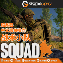 Gamebarry Tactical Squad Squad Certified Server Rental Multi-line Game Server