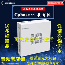 Genuine licensed Steinberg Cubase pro 11 software SF send mouse pad spot