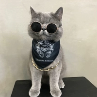 Черный кроксин