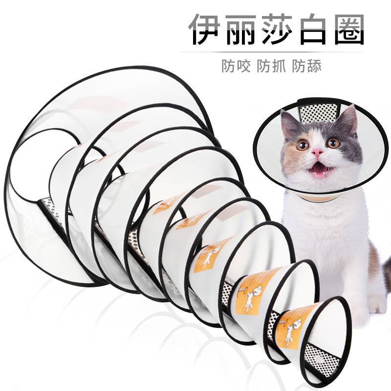 Elizabeth circle cat collar dog head set sterilized dog neck cover Elizabeth white anti-bite anti-licking large dog