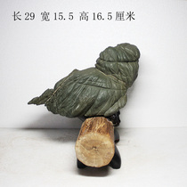 Pine Flower Stone Chiishi Mao Stone Raw Stone Natural Ornamental Stone Jilin Tonation Picturesque Quartz Minshen Warrior Parrot