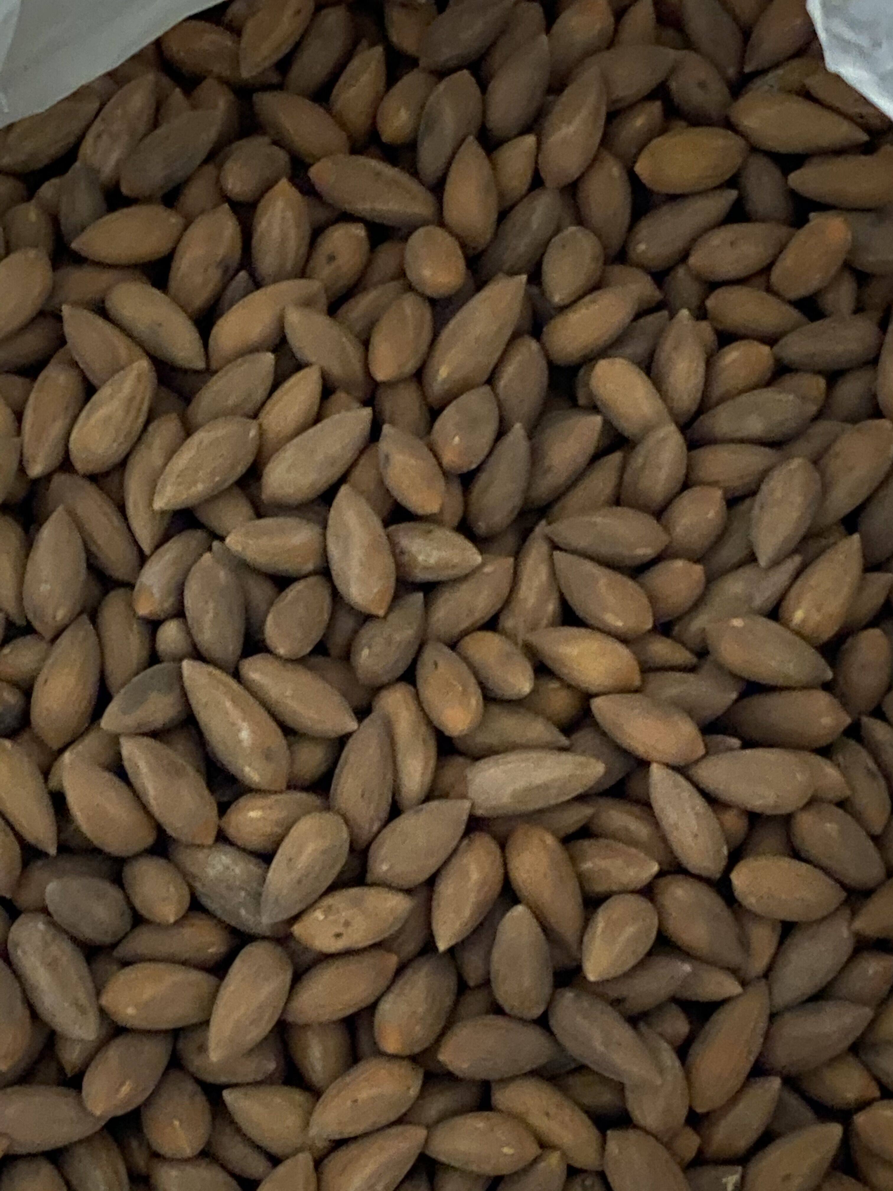 Torreya 2020 new goods Zhuji Fengqiao specialty 500g mini torreya