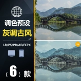 BSH011LR PRESET PS Xianxia Grey Style Costum