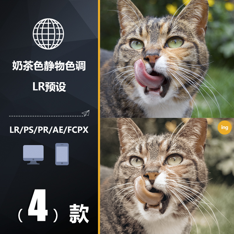 BWD006LR preset PS Korean PR milk tea color still life literary travel APP filter FCPX color LUT ACR