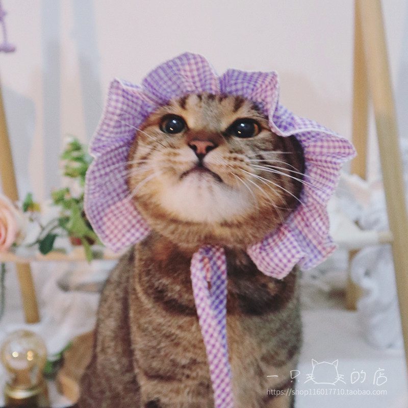 A MAO pet disguise cat dog hat plaid cute net red ruffled headdress dress up accessories ins