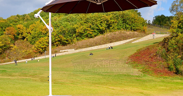 J-Imported Banana Umbrella_18.jpg