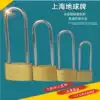 Earth brand thin lengthened copper lock cabinet door padlock anti-theft pure copper waterproof anti-rust small lock through the unlock head for home