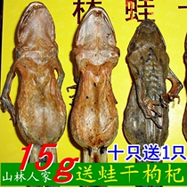 1212 to promote 15g 5 free mail to send peach rubber Changbai Mountain snow clam forest frog dried clam oviductus oil gift box has