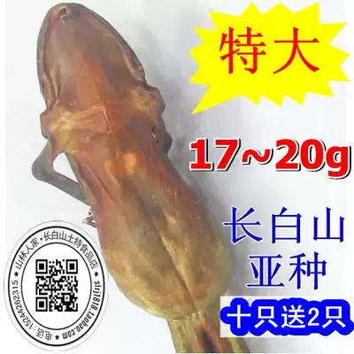 Extra large 17G G 5 free mail 10 to send this product Changbai Mountain forest frog dry snow clam dried toad oil gift box