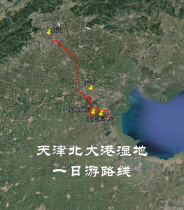 Tianjin Beidagang Wetland One-Day Self-driving Travel Navigation Map Aowei Track Route
