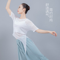 Perspective Loose modern dance practice clothes net gauze Womens Classical Dance body yoga clothes Fanghua square dance costume