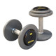 A pair of commercial heavy-duty flat-head painted dumbbells