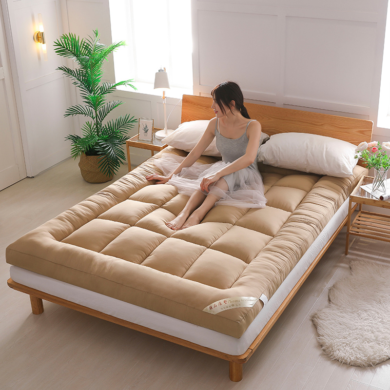Buy Mattress thickened 10cm tatami foldable double 1.5m1 ...