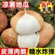 Cold potato and sweet potato seeds, Muma mountain sweet potato, early-maturing and high-yielding fruit, sweet potato and sweet potato, sweet potato and jicama vegetable seeds.