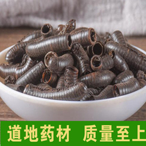 MarLu Chinese herbal medicine wild horse land mountain beetle with 100 knotes of free grinding of powder 500 gr