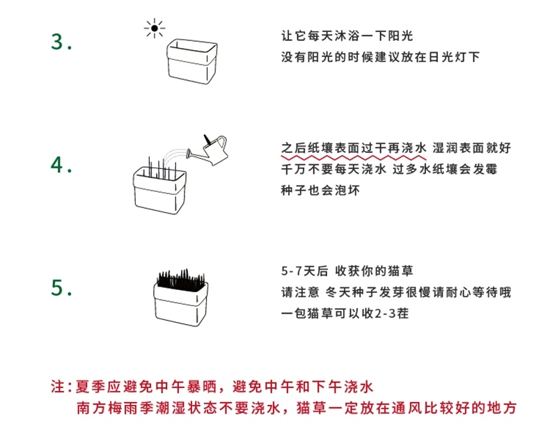 Cỏ mèo không nhãn mác không thấm nước hữu cơ thiết lập hạt giống giáo bóng mèo mèo ăn nhẹ nhập khẩu 1 gói - Đồ ăn nhẹ cho mèo