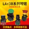 Mushroom head button LAy3B-11 Flat button knob emergency stop