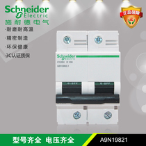 Schneider electric C120H 2P D type 100A 10KA small circuit breaker Order Number: A9N19821