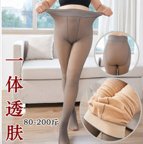 Autumn and winter velvet skin-permeable pants womens fat plus size gray false meat base socks Light leg artifact thick pantyhose