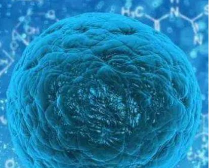 Education edition cloud computing non-profit research edu mail discount application seconds over mailbox customization