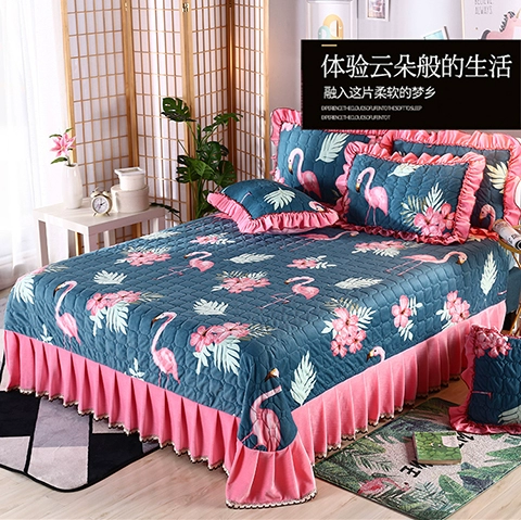 Giường sang trọng đơn mảnh san hô lông cừu quilted chăn bông bọc pha lê nhung mùa đông ấm áp flannel lông tấm phụ nữ bộ ga giường đẹp