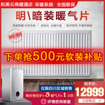 Surface mounted radiator Household plumbing old house steel heat sink German wall hanging stove Natural gas Fisman boiler