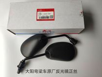 Dayang Original motorcycle accessories DY110-2E 2F DY100 90--3A Rearview mirror mirror Rear view mirror