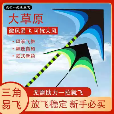 Prairie kite new large-scale high-end kite long floating tail children adult special beginner breeze easy to fly