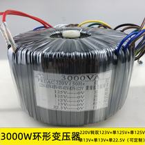 3000W power amplifier toroidal transformer 220V double 123V125V single 13v Single 22 5V Dry isolation pure copper