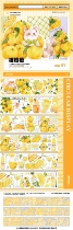Cat Orange Split_orangecat tape cat Orange Orange PET crystal and paper tape spot