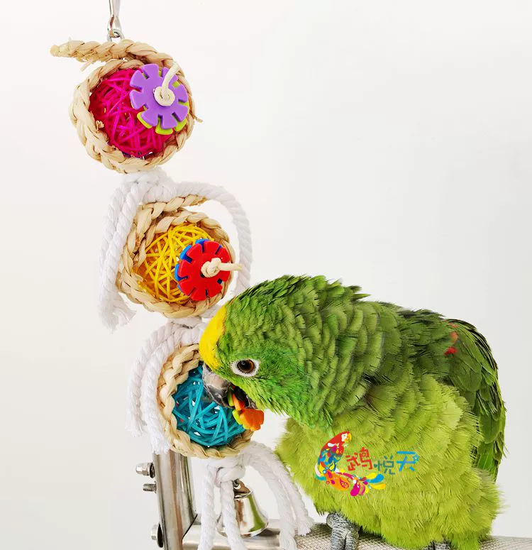 Vẹt cung cấp đồ chơi chim thú cưng nhai đồ chơi tinh khiết tự nhiên mây xoắn dây bán buôn 556658 - Chim & Chăm sóc chim Supplies