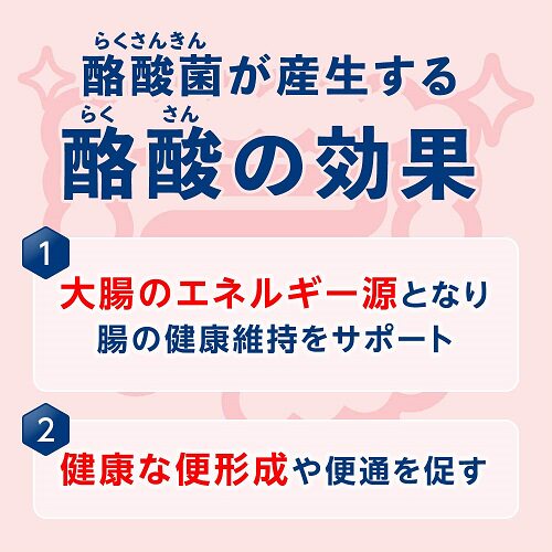 日本bio3武田乳酸菌酪酸菌糖化菌整肠通便粉剂装36份