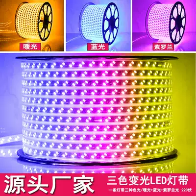 LED three-color dimming light belt 220V household living room chandelier Household bedroom super bright outdoor horse racing colorful light belt
