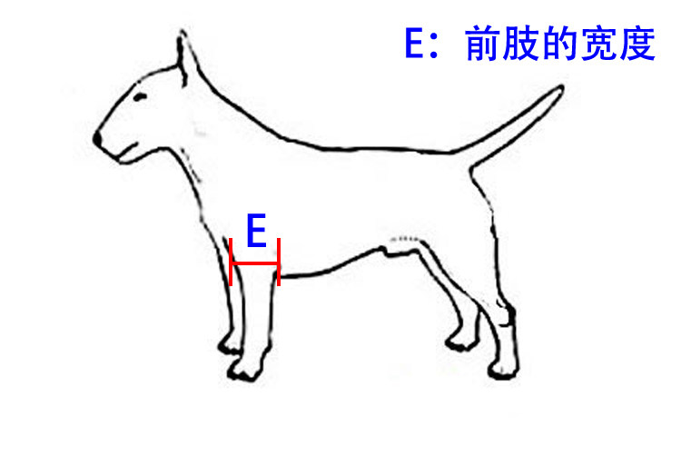 Чертежи инвалидной коляски для собаки